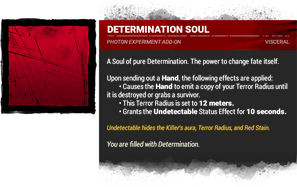 Determination Soul