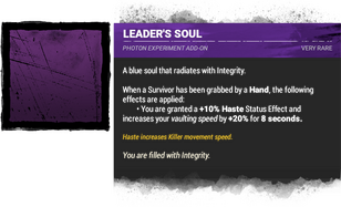 leader's soul